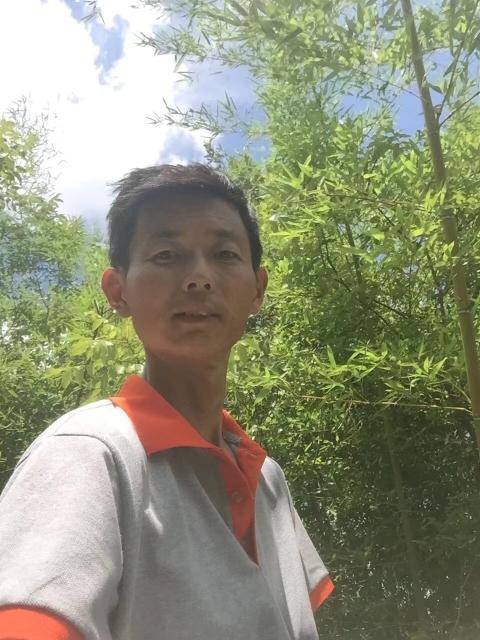 评分